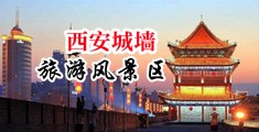 高性感黑丝美女裸体尿尿中国陕西-西安城墙旅游风景区