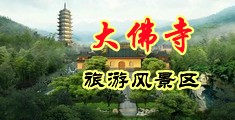 白合肏逼中国浙江-新昌大佛寺旅游风景区